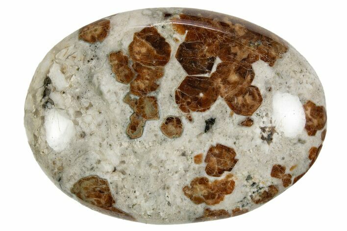 Polished Garnet In Wollastonite Palm Stone - Namibia #343953